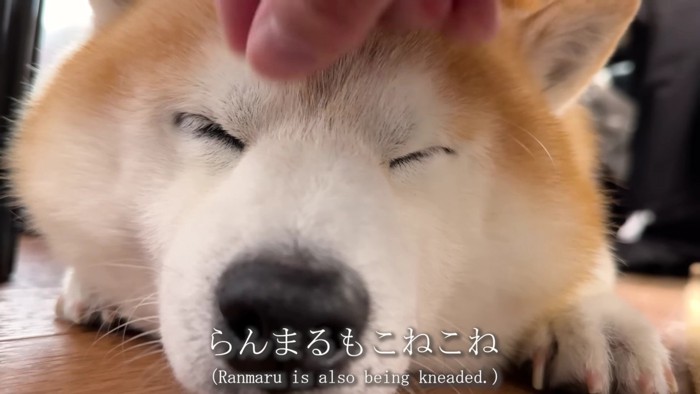 「何ができるのかな？」