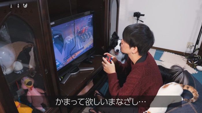 「構って♡」とお目目でアピール