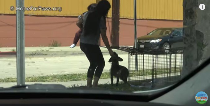 女性から食べ物をもらう犬