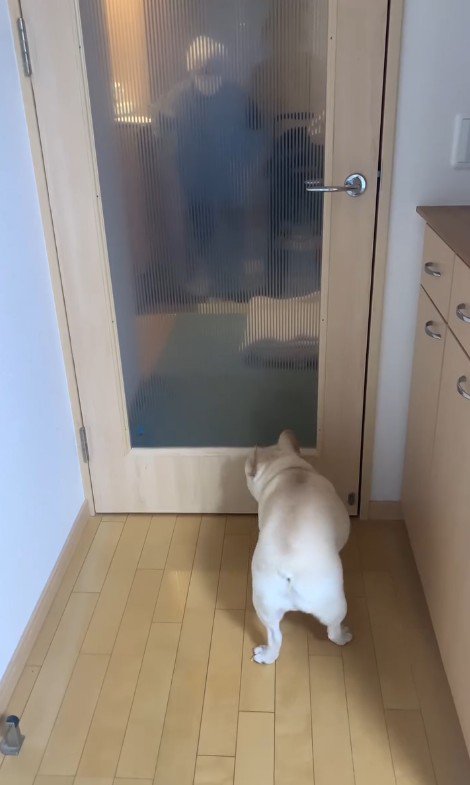 おばあちゃんを見つけたエルモくん2