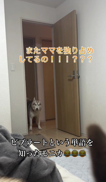「またママを独占してる！！」