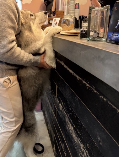 「カフェラテをひとつ…」