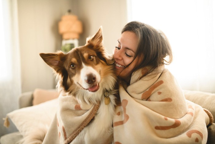 毛布にくるまる犬と女性