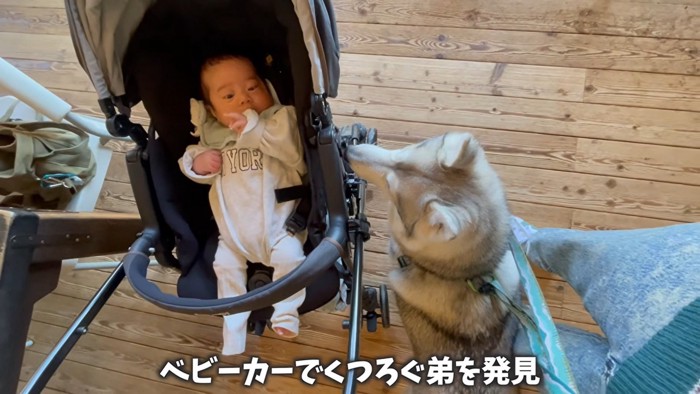 赤ちゃんといちみちゃん