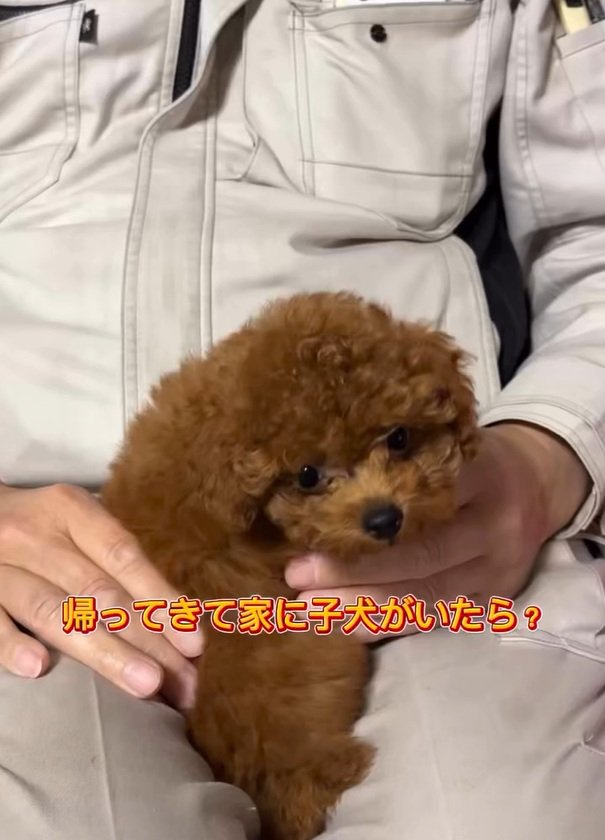 ベベさんを抱っこするお父さん