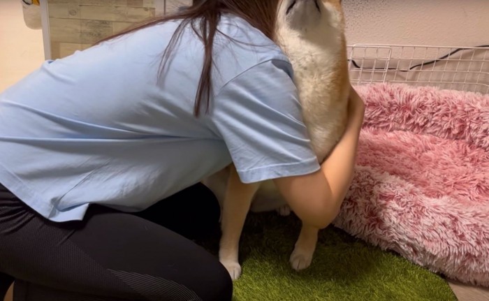 柴犬を抱きしめる女性