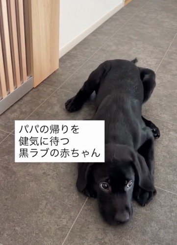 パパが早く帰ってきますように