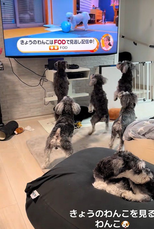 なんとも微笑ましい光景