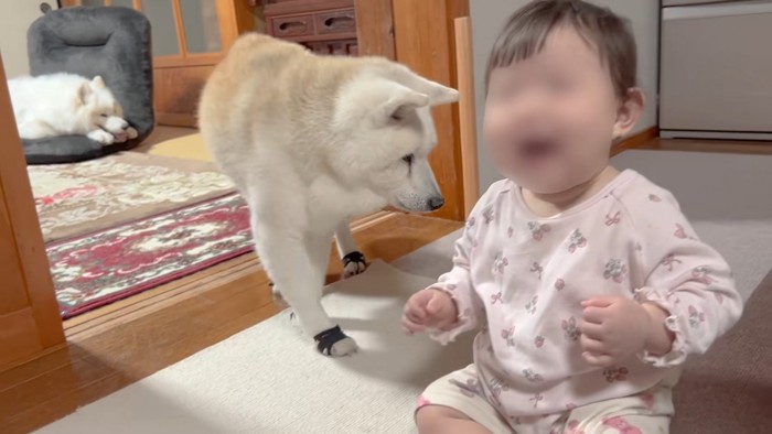 ゼロ距離で近づいて…