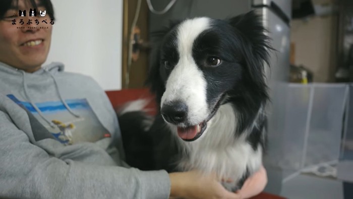 犬と男性