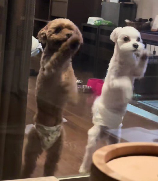 露天風呂を満喫していると…