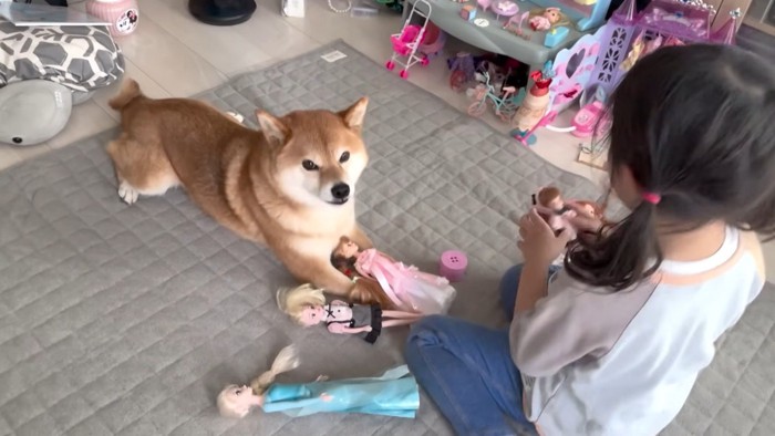手にお人形を乗せられて困惑