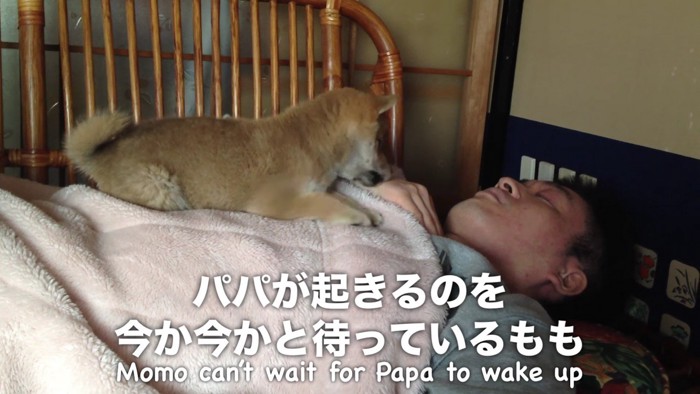 パパを起こすのが日課♡