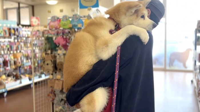 飼い主に抱っこされてペットグッズの店に入る犬