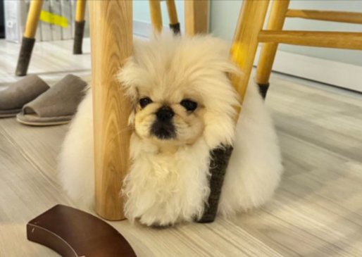狭いところ
