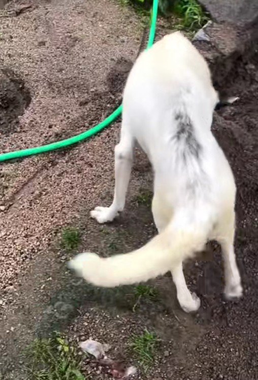 保護して2日後…