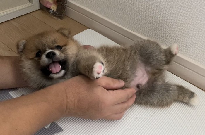 お迎え当時
