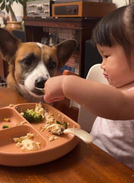 食事の時間もおすそ分け