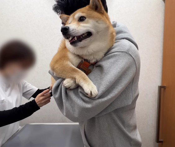 とってもお利口だったよ!