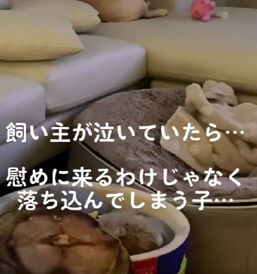 涙を流していたら…