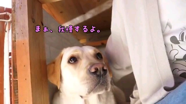 まぁ、～字幕