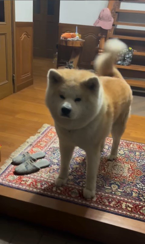 健くんの熱烈歓迎5