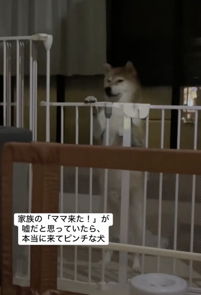 「もう無理だわ…」