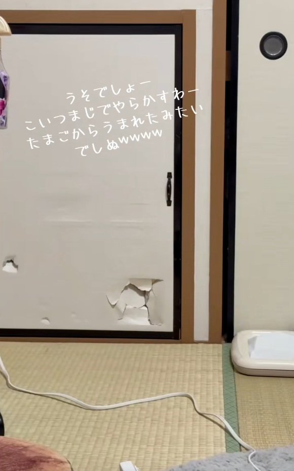 破れている押入れの戸