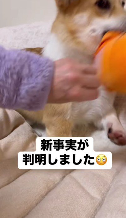 絶対に離さない