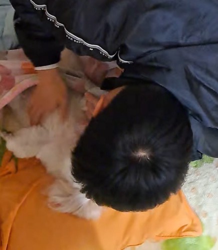 犬に顔を近づけて、犬を撫でる男の子