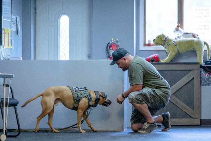 PTSD介助犬と退役軍人