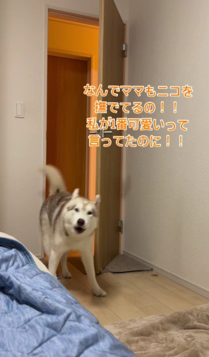 ママにも怒りが…