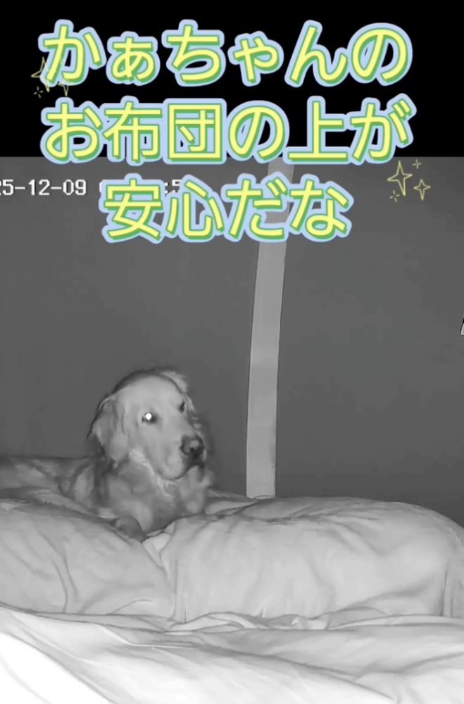 「今日はここにしよ」