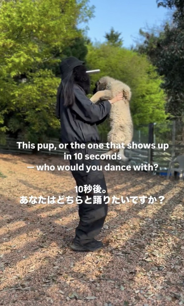 くるくる