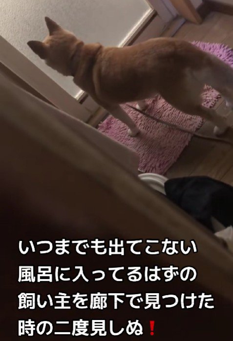 お風呂から出てこない