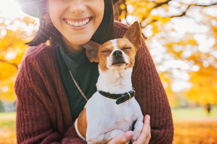 抱かれて目を閉じる犬