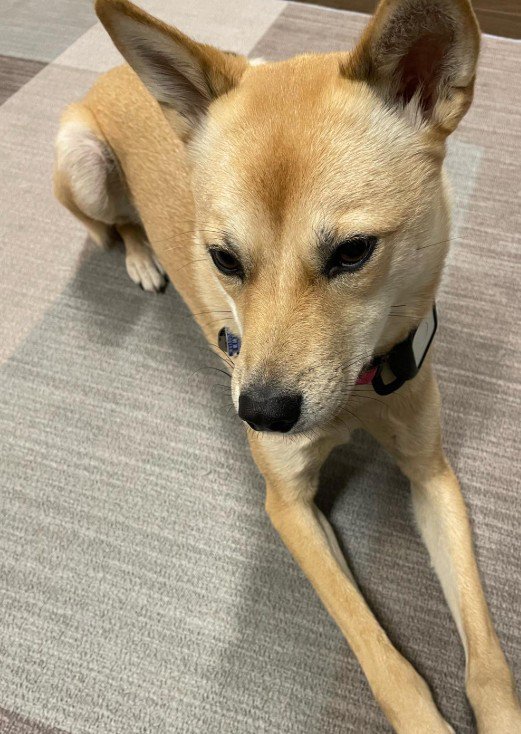 この世に生まれて来てくれて幸せ