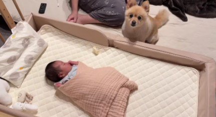 子守りは僕の担当ね！