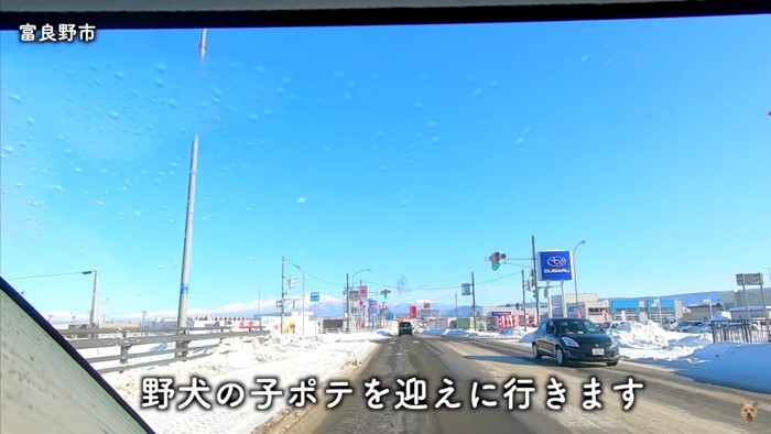 ポテちゃんを迎えに800kmの旅