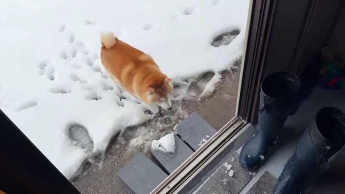 事務所の中へ避難