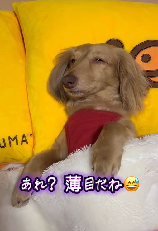 薄目を開けています！