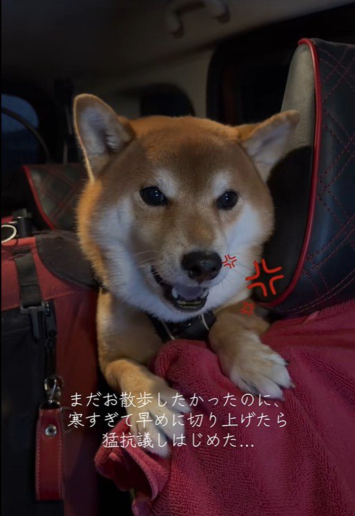 はなまる君の猛抗議3