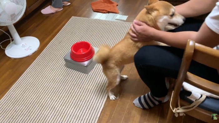 「会いたかったよ~」