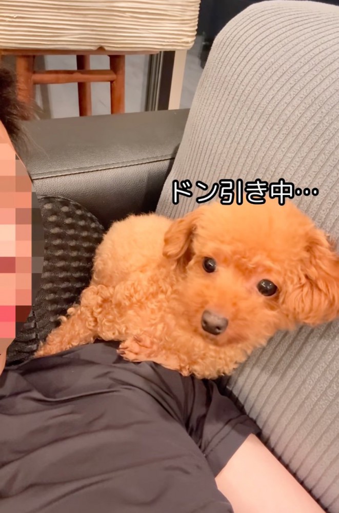 顔を離す犬