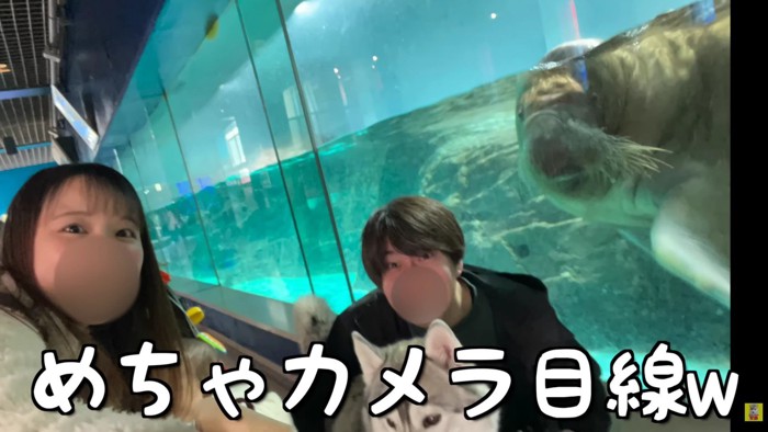 カメラ目線までくれました