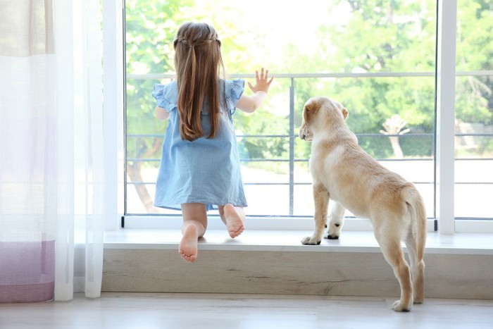 少女と犬