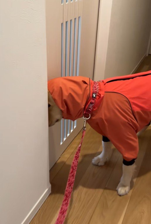 なかなか来ない