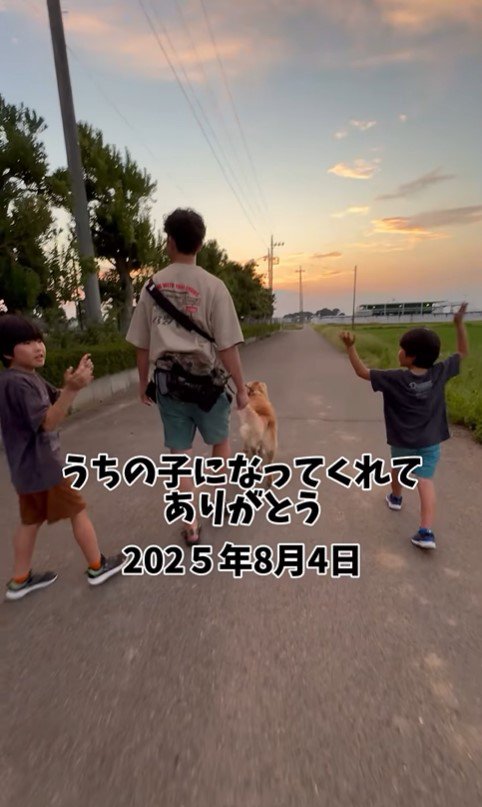 もなかちゃんとの1年間の軌跡⑩
