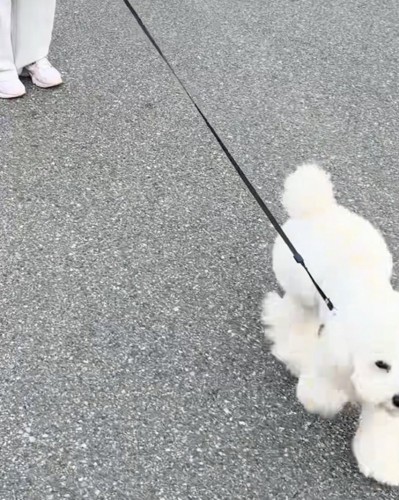 「おかえりー！」