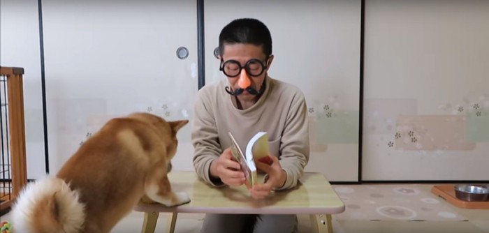 読書をする飼い主さん